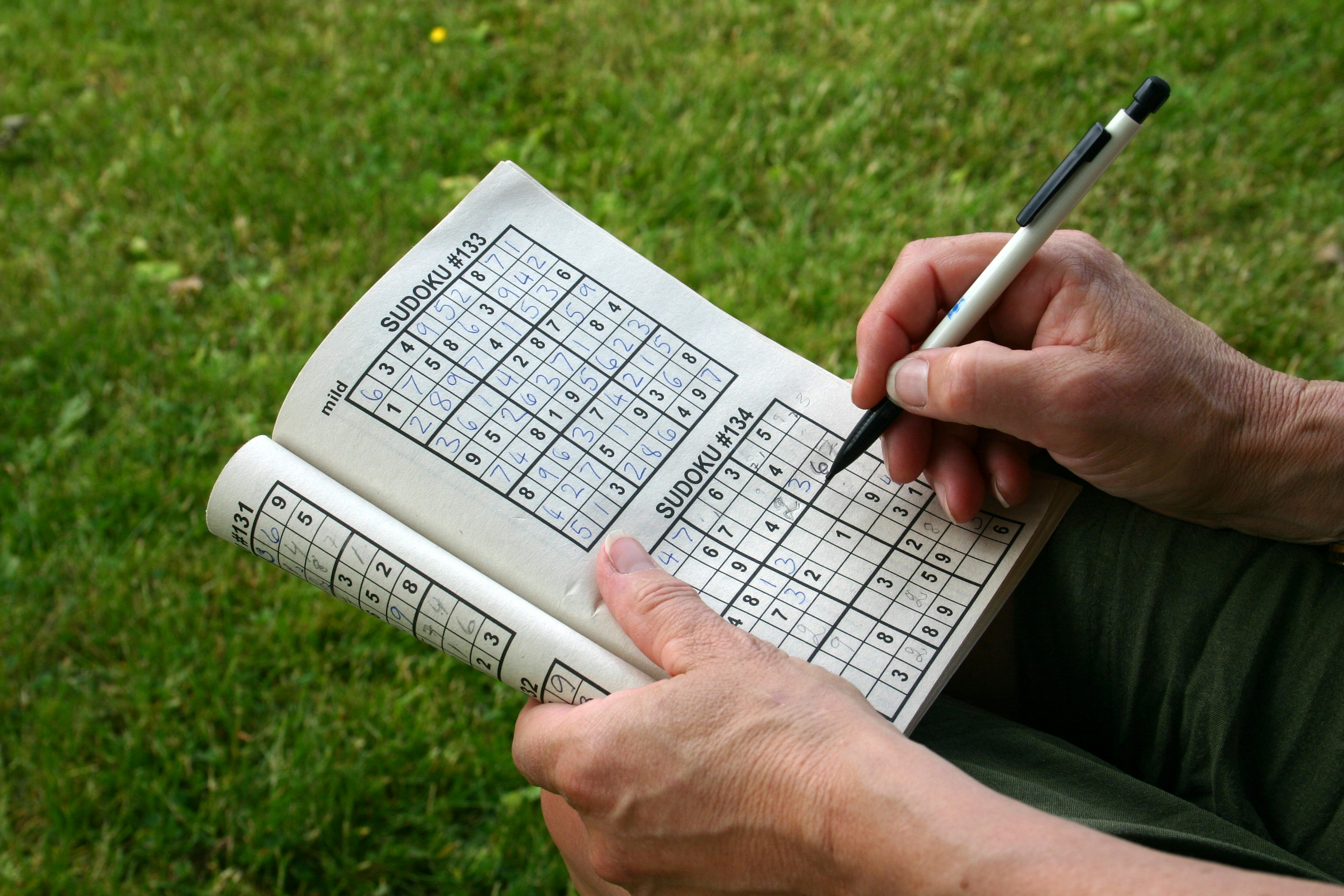 Ways To Play Sudoku